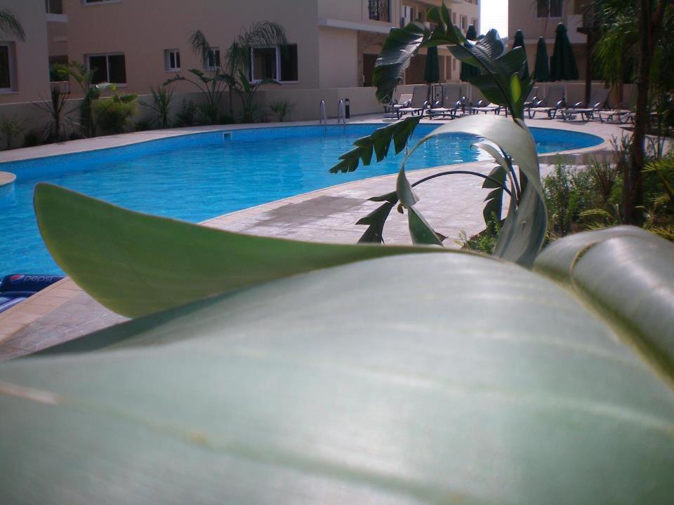 103 Elegant 2 Bed Apartment With Free Wifi, Ac, Pool & Gym! Λάρνακα Εξωτερικό φωτογραφία